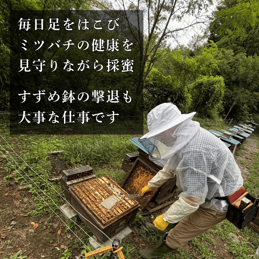 純粋百花はちみつ 選べる容量 350g/600g  百花純粋蜂蜜 はる 百花蜂蜜 百花蜜 蜂蜜 無給餌 ハニー やしと養蜂 岩手県 大船渡市